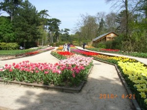 ヴァンセンヌの森「花公園」