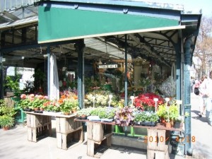 シテ島の花市